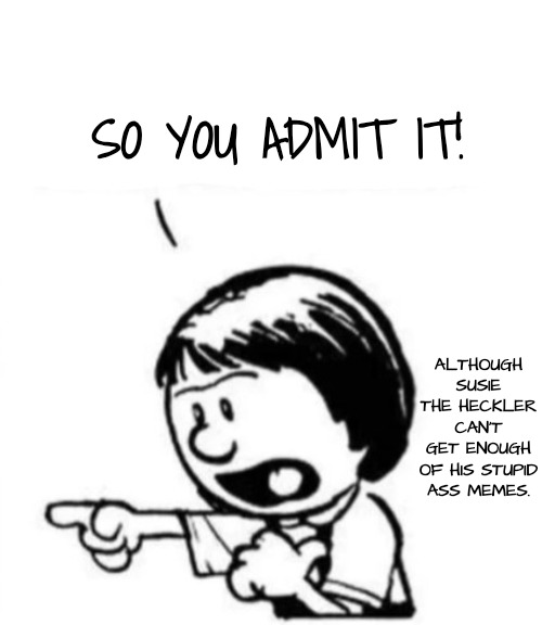 Susie yelling at Calvin | SO YOU ADMIT IT! ALTHOUGH SUSIE THE HECKLER CAN'T GET ENOUGH OF HIS STUPID ASS MEMES. | image tagged in susie yelling at calvin | made w/ Imgflip meme maker