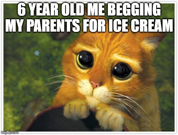 day 1 one making cat memes | 6 YEAR OLD ME BEGGING MY PARENTS FOR ICE CREAM | image tagged in memes,shrek cat | made w/ Imgflip meme maker