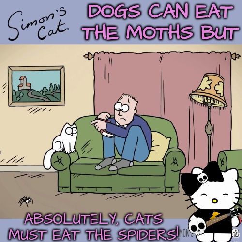 Death Metal Kitty! | DOGS CAN EAT THE MOTHS BUT; ABSOLUTELY, CATS MUST EAT THE SPIDERS! | image tagged in do your job,cats must work | made w/ Imgflip meme maker