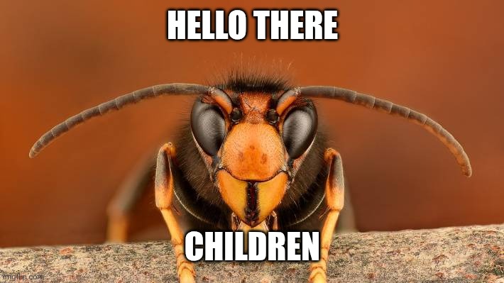 Murder Hornet | HELLO THERE CHILDREN | image tagged in murder hornet | made w/ Imgflip meme maker