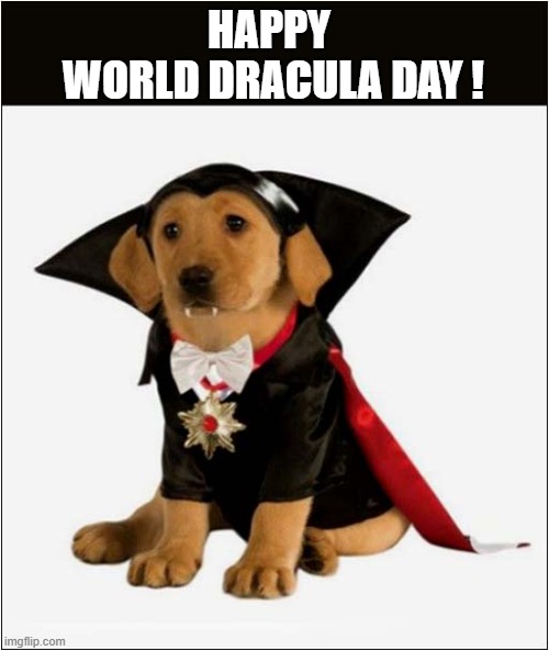Just A Perfect Costume ! | HAPPY
 WORLD DRACULA DAY ! | image tagged in dogs,count dracula,costume | made w/ Imgflip meme maker