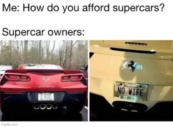 Footloose and Fancy Free | image tagged in single,married,married with children,husband,wife,expensive | made w/ Imgflip meme maker