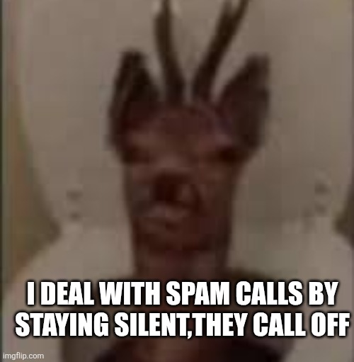 /j /j /j /j /j | I DEAL WITH SPAM CALLS BY STAYING SILENT,THEY CALL OFF | image tagged in /j /j /j /j /j | made w/ Imgflip meme maker