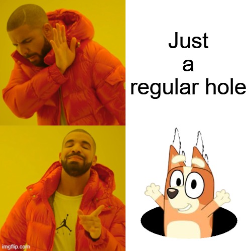 Drake Hotline Bling | Just a regular hole | image tagged in memes,drake hotline bling | made w/ Imgflip meme maker