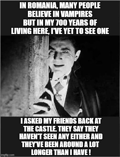 It's World Dracula Day But Do Vampires Exist ? | IN ROMANIA, MANY PEOPLE
BELIEVE IN VAMPIRES
BUT IN MY 700 YEARS OF
LIVING HERE, I'VE YET TO SEE ONE; I ASKED MY FRIENDS BACK AT
THE CASTLE. THEY SAY THEY
HAVEN'T SEEN ANY EITHER AND
THEY'VE BEEN AROUND A LOT 
LONGER THAN I HAVE ! | image tagged in count dracula,vampires,existence,dark humour | made w/ Imgflip meme maker