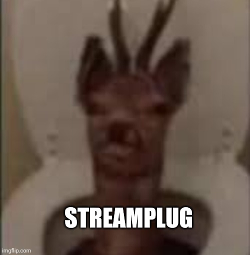 https://imgflip.com/m/Important-stuff | STREAMPLUG | image tagged in /j /j /j /j /j | made w/ Imgflip meme maker