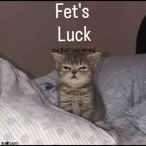 now. | image tagged in cat fet's luck | made w/ Imgflip meme maker