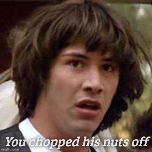 whoa | You chopped his nuts off | image tagged in whoa | made w/ Imgflip meme maker
