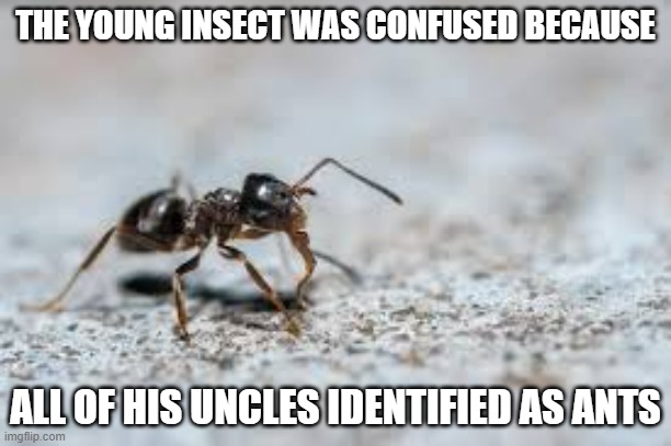 Young insects are confused as all their uncles are identifying as aunts. | THE YOUNG INSECT WAS CONFUSED BECAUSE; ALL OF HIS UNCLES IDENTIFIED AS ANTS | image tagged in funny,insects,uncles,aunts,humor,play on words | made w/ Imgflip meme maker