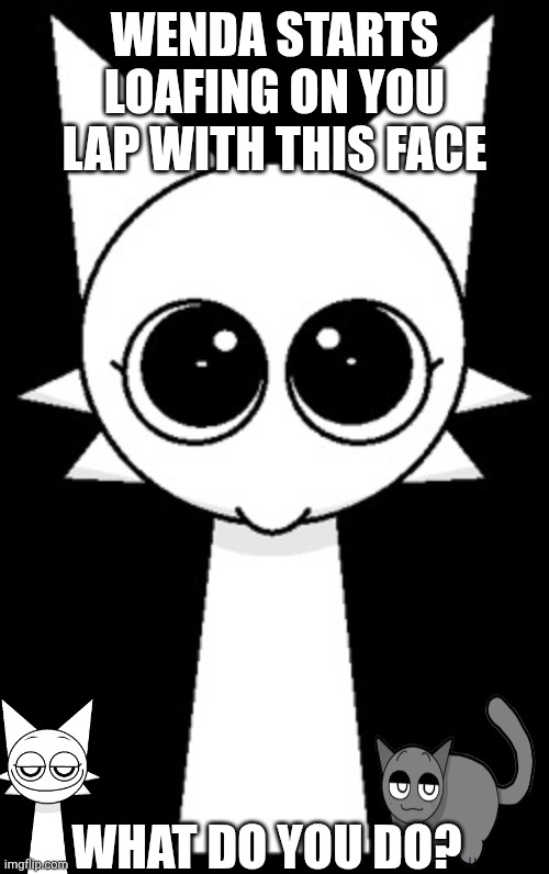 PWEEZ? | WENDA STARTS LOAFING ON YOU LAP WITH THIS FACE; WHAT DO YOU DO? | image tagged in pweez,wenda,sprunki,funny,idk what to put here,wenda x gray | made w/ Imgflip meme maker
