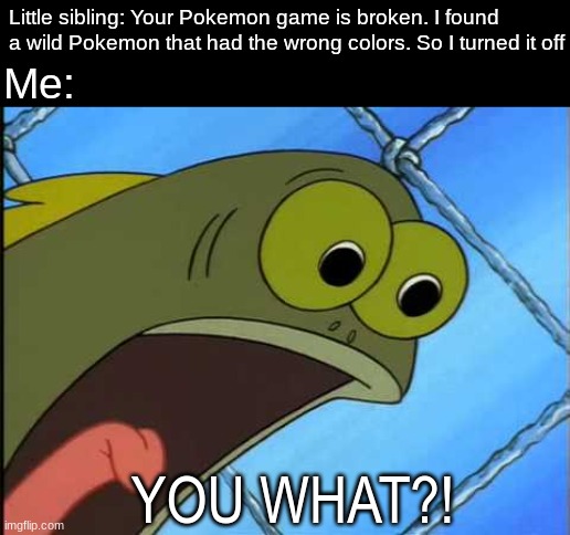 Farewell shiny Pokemon | Little sibling: Your Pokemon game is broken. I found a wild Pokemon that had the wrong colors. So I turned it off; Me:; YOU WHAT?! | image tagged in you what,memes,funny,pokemon,gaming | made w/ Imgflip meme maker
