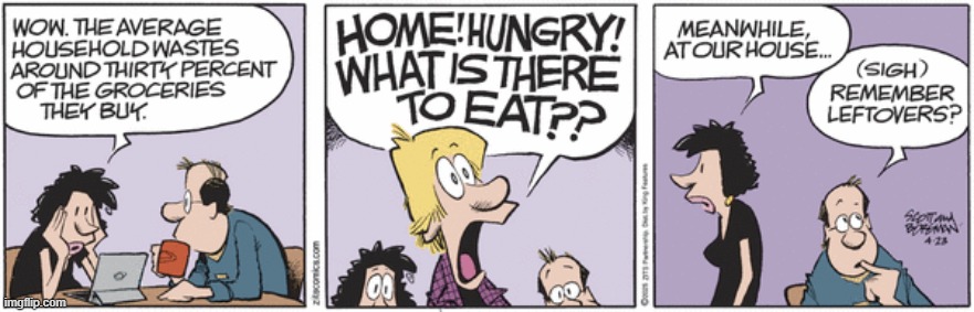 Zits | image tagged in comics | made w/ Imgflip meme maker