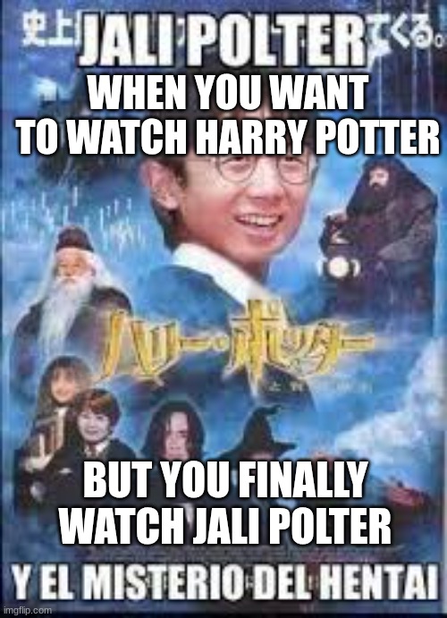 Jali polter | WHEN YOU WANT TO WATCH HARRY POTTER; BUT YOU FINALLY WATCH JALI POLTER | image tagged in harry potter,china,xd | made w/ Imgflip meme maker