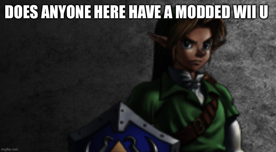 Hyah | DOES ANYONE HERE HAVE A MODDED WII U | image tagged in link prowler stare | made w/ Imgflip meme maker