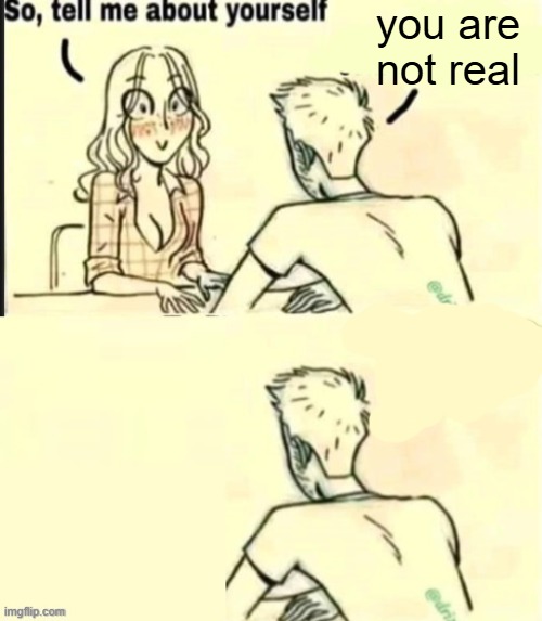 tell me about yourself bad ending | you are not real | image tagged in tell me about yourself bad ending | made w/ Imgflip meme maker