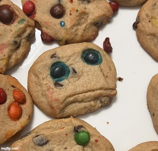 Sad cookie | image tagged in sad cookie | made w/ Imgflip meme maker
