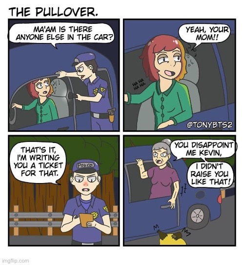 image tagged in comics,cop,mother | made w/ Imgflip meme maker