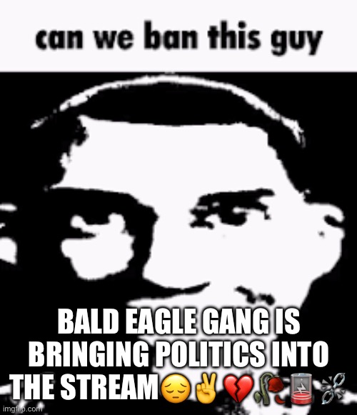 hyah | BALD EAGLE GANG IS BRINGING POLITICS INTO THE STREAM😔✌️💔🥀🪫⛓️‍💥 | image tagged in can we ban this guy | made w/ Imgflip meme maker