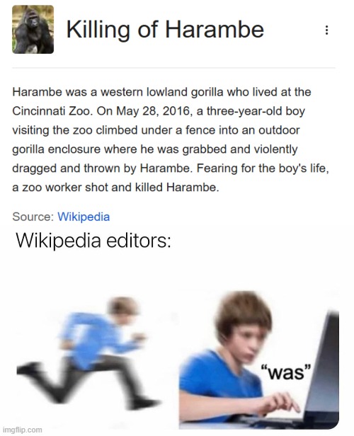 poor source citing | image tagged in wikipedia,harambe | made w/ Imgflip meme maker