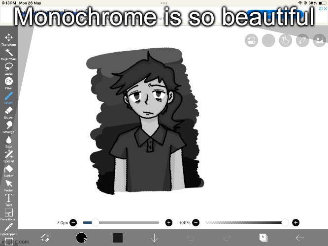 Monochrome is so beautiful | made w/ Imgflip meme maker
