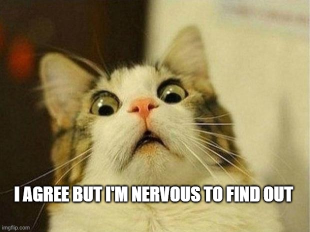 don't wanna know about that | I AGREE BUT I'M NERVOUS TO FIND OUT | image tagged in memes,scared cat,i agree with most of this stuff | made w/ Imgflip meme maker
