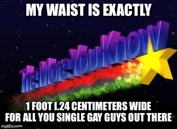 the more you know | MY WAIST IS EXACTLY; 1 FOOT I.24 CENTIMETERS WIDE FOR ALL YOU SINGLE GAY GUYS OUT THERE | image tagged in the more you know | made w/ Imgflip meme maker