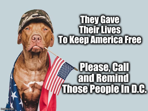 Mem. Day 1 Soldier Dog | They Gave Their Lives
To Keep America Free; Please, Call and Remind 
Those People In D.C. | image tagged in they gave lives dog,soldier flag dog | made w/ Imgflip meme maker