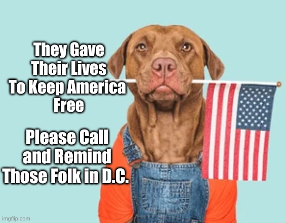 Mem Day Dog 2 | They Gave Their Lives
To Keep America 
Free; Please Call and Remind
Those Folk in D.C. | image tagged in dog flag memorial day | made w/ Imgflip meme maker