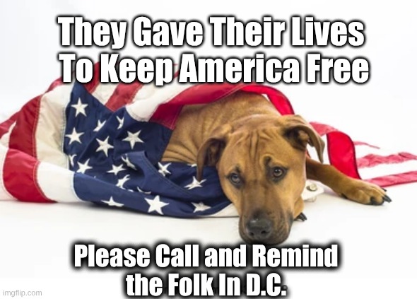 Memorial Day Dog 4 | They Gave Their Lives 
To Keep America Free; Please Call and Remind 
the Folk In D.C. | made w/ Imgflip meme maker
