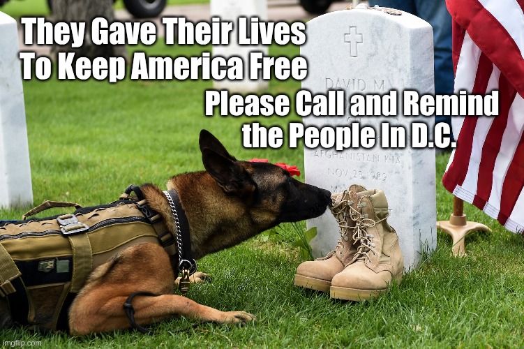 Military Dog Memorial Day | They Gave Their Lives
To Keep America Free; Please Call and Remind
the People In D.C. | image tagged in military dog memorial day | made w/ Imgflip meme maker