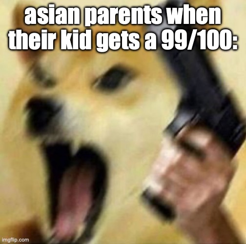 Bruh | asian parents when their kid gets a 99/100: | image tagged in angry doge with gun,funny,memes,asian parents,grades,disgrace | made w/ Imgflip meme maker