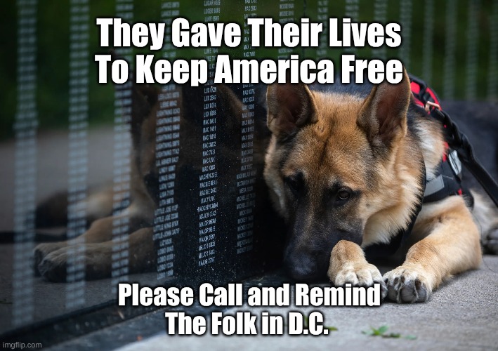 Military Dog Memorial Day | They Gave Their Lives
To Keep America Free; Please Call and Remind
The Folk in D.C. | image tagged in military dog memorial day,dog mourning at the wall | made w/ Imgflip meme maker