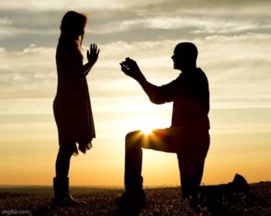 Proposal  | image tagged in proposal | made w/ Imgflip meme maker