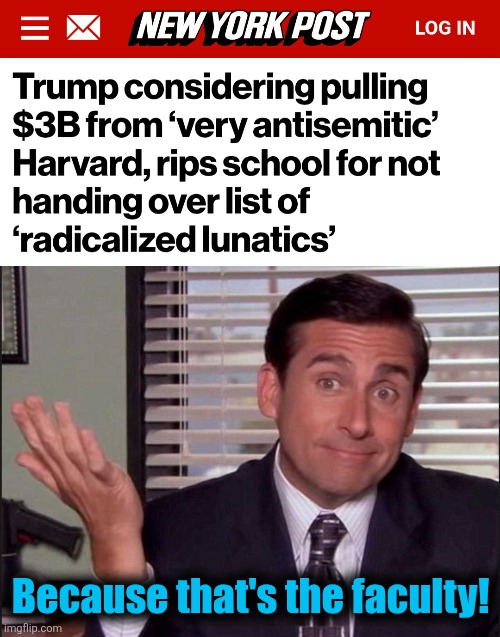Because that's the faculty! | image tagged in michael scott,memes,harvard,radicalized lunatics,antisemitism,democrats | made w/ Imgflip meme maker