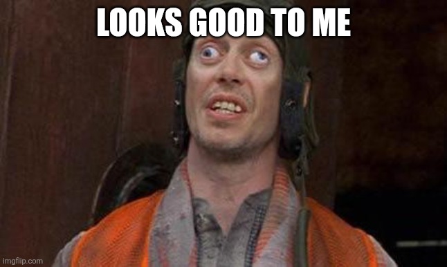 Looks Good To Me | LOOKS GOOD TO ME | image tagged in looks good to me | made w/ Imgflip meme maker