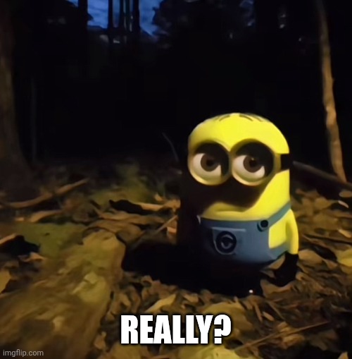 Minion in dark forest | REALLY? | image tagged in minion in dark forest | made w/ Imgflip meme maker