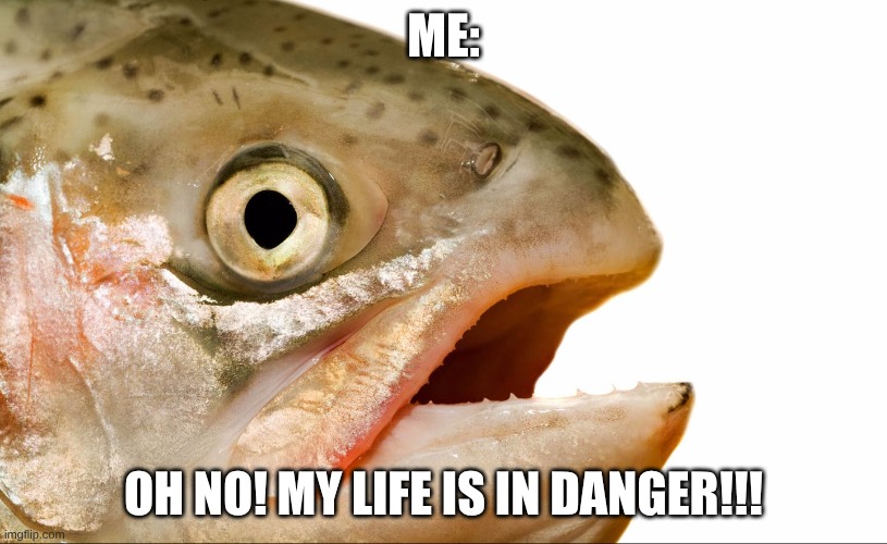 Salmon (For a project. I don't even know if it is an atlantic salmon or not) | ME:; OH NO! MY LIFE IS IN DANGER!!! | image tagged in statement salmon | made w/ Imgflip meme maker