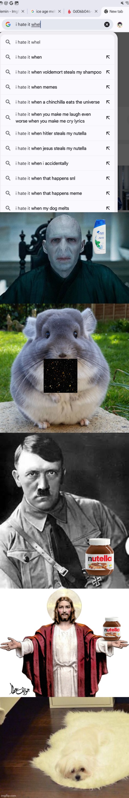 I hate all these things | image tagged in lord voldemort,come through chinchilla,adolf hitler,jesus halo open arms with transparency,dog melt | made w/ Imgflip meme maker
