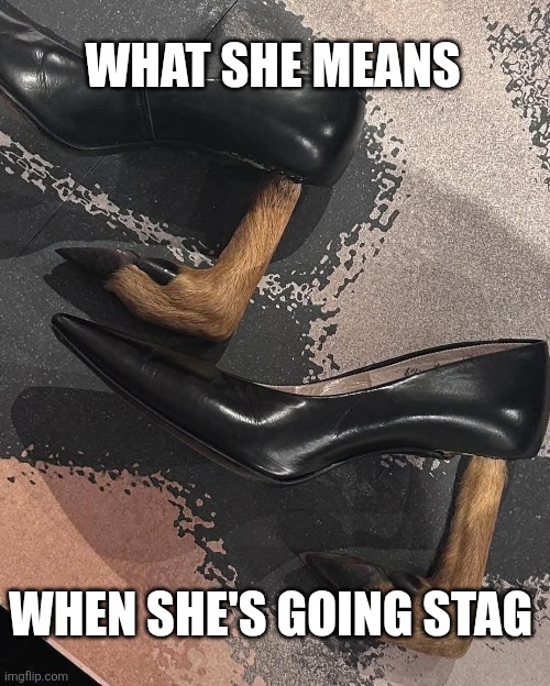 WHAT SHE MEANS; WHEN SHE'S GOING STAG | image tagged in going stag | made w/ Imgflip meme maker