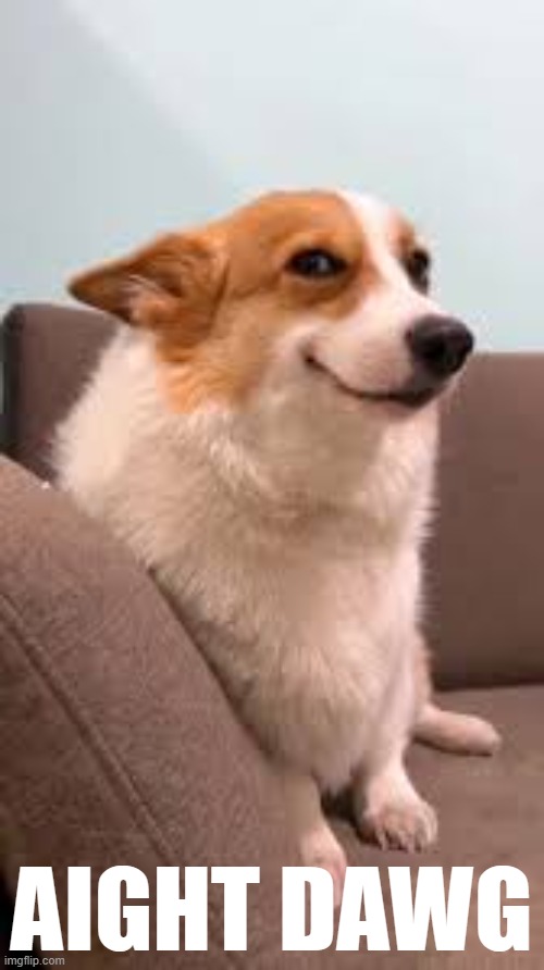 sly smiling dog | AIGHT DAWG | image tagged in sly smiling dog | made w/ Imgflip meme maker