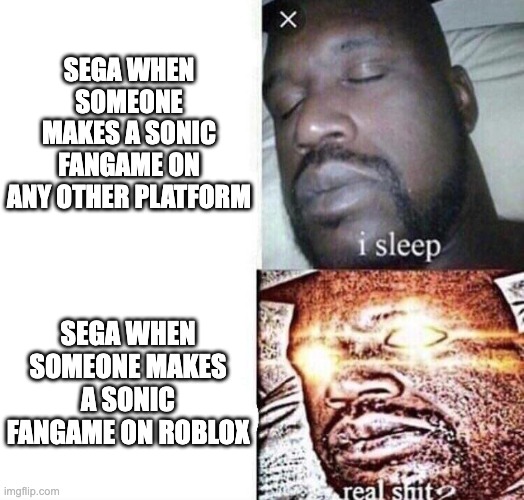 how Sega is when it comes to fangames now | SEGA WHEN SOMEONE MAKES A SONIC FANGAME ON ANY OTHER PLATFORM; SEGA WHEN SOMEONE MAKES A SONIC FANGAME ON ROBLOX | image tagged in i sleep real shit | made w/ Imgflip meme maker