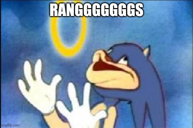 Sonic derp | RANGGGGGGGS | image tagged in sonic derp | made w/ Imgflip meme maker