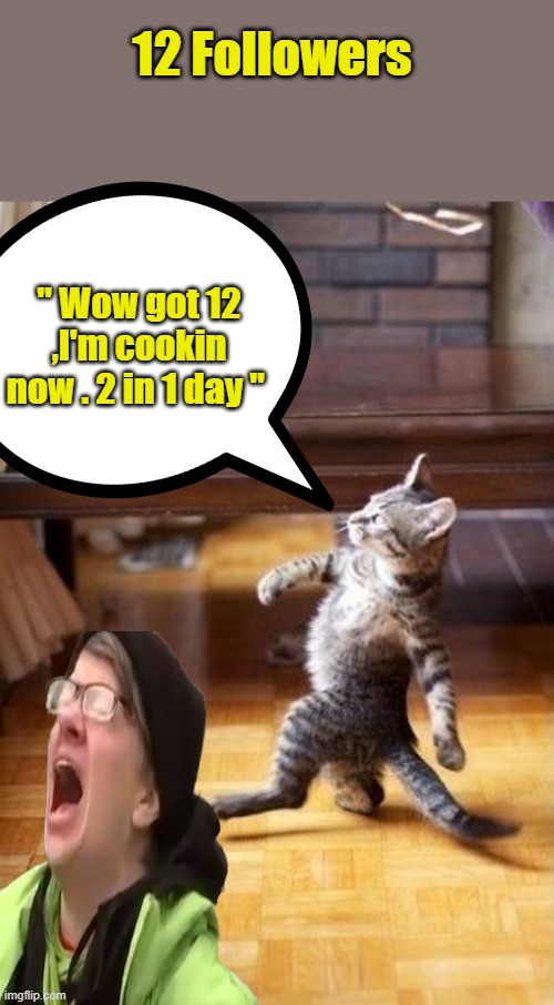 Also got wacked again by moderators. 2 day wack They getting mad | 12 Followers; " Wow got 12 ,I'm cookin now . 2 in 1 day " | image tagged in memes,cool cat stroll | made w/ Imgflip meme maker