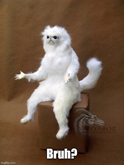 Persian Cat Room Guardian Single Meme | Bruh? | image tagged in memes,persian cat room guardian single | made w/ Imgflip meme maker