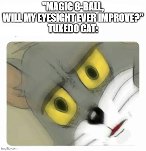 Poor kitty | "MAGIC 8-BALL, WILL MY EYESIGHT EVER IMPROVE?"
TUXEDO CAT: | image tagged in unsettled tom blurry,memes,funny,cats,magic 8 ball | made w/ Imgflip meme maker