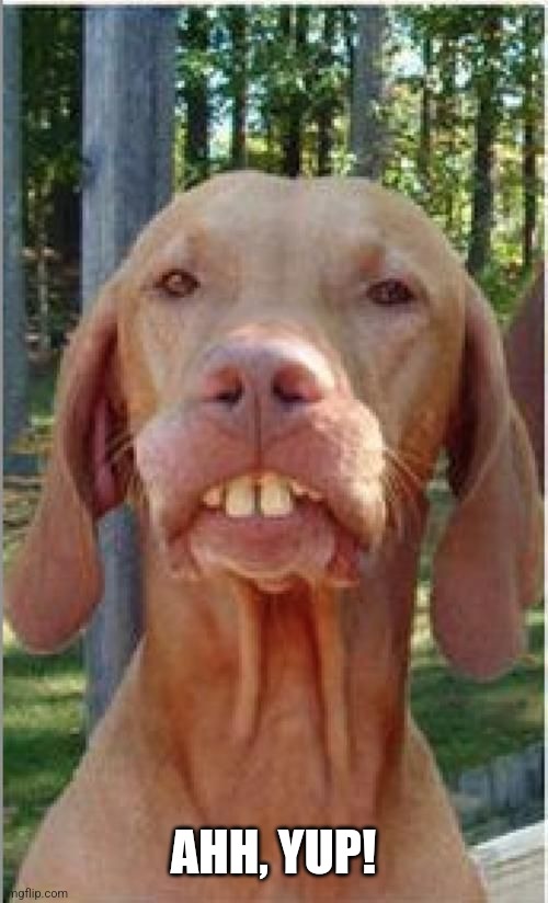 luvs ma guns buck teeth dog | AHH, YUP! | image tagged in luvs ma guns buck teeth dog | made w/ Imgflip meme maker