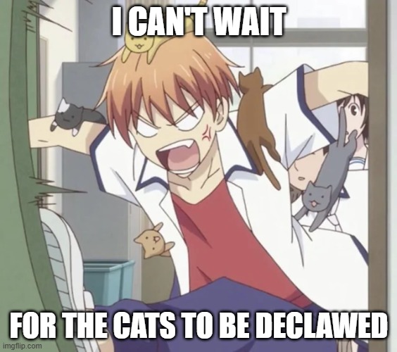 cats hurt lol | I CAN'T WAIT; FOR THE CATS TO BE DECLAWED | image tagged in cats,anime | made w/ Imgflip meme maker