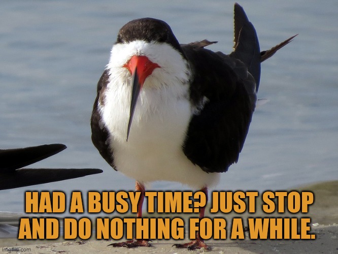 Had a busy time? Stop and do nothing for a while. | HAD A BUSY TIME? JUST STOP AND DO NOTHING FOR A WHILE. | image tagged in relax,downtime | made w/ Imgflip meme maker