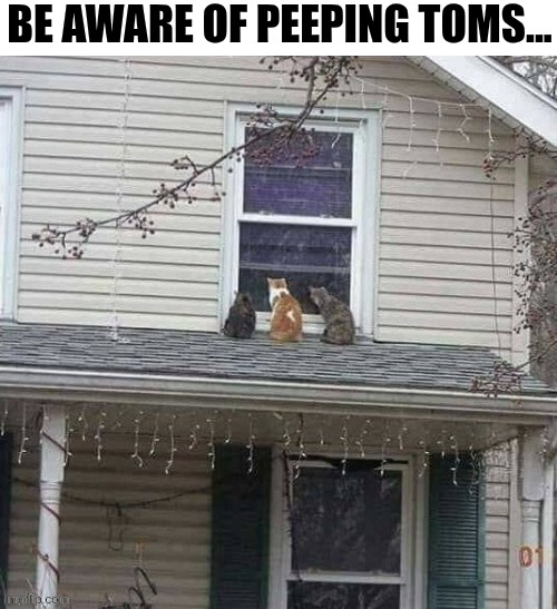 Be Aware Of Peeping Toms... | BE AWARE OF PEEPING TOMS... | image tagged in chrisjoines1 | made w/ Imgflip meme maker