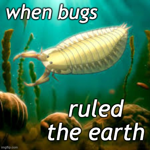 I just discovered this stream <3 | when bugs; ruled the earth | image tagged in bugs,beauty,prehistory | made w/ Imgflip meme maker